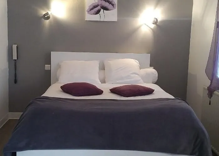 Logis Le Pont D'arcole 호텔 2*