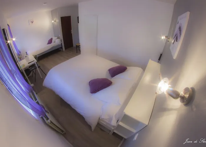 Logis Le Pont D'arcole Hotel 2*